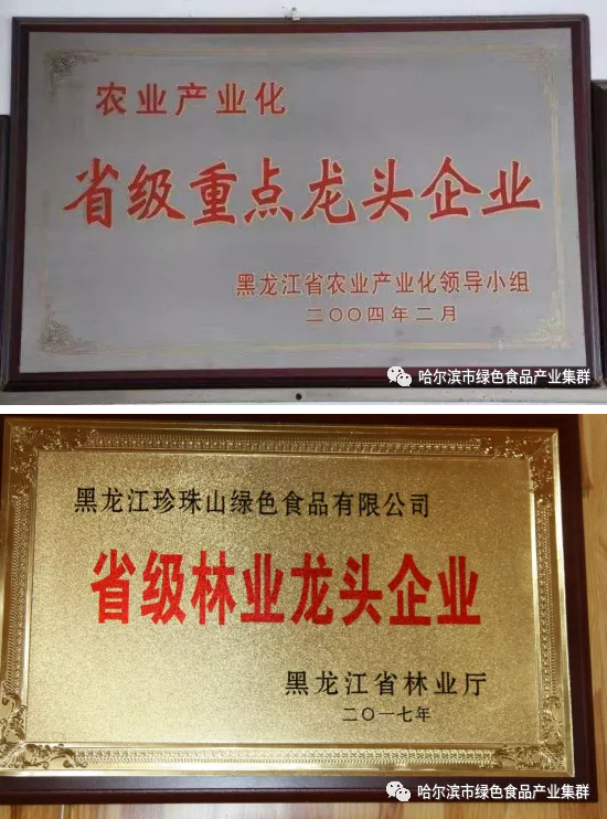 Longjiang Lvte Food 368-Wang Shuhai, the king of black fungus, and his "zhenzhushan" brand of mounta(图11)